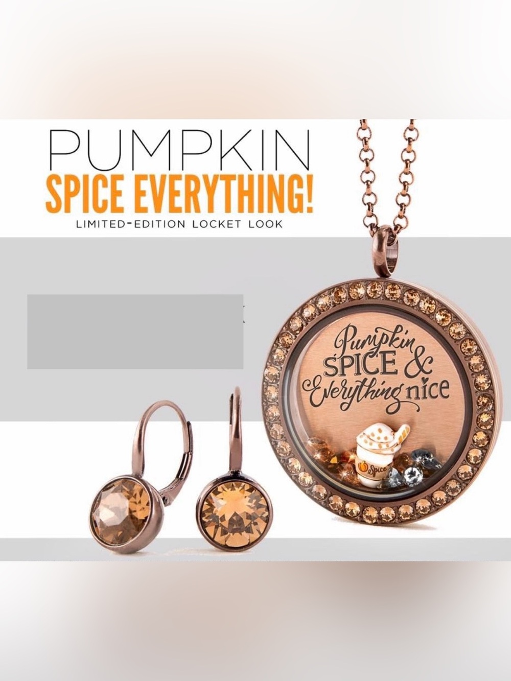 NEW Origami Owl Chocolate Pumpkin Spice Locket Necklace & Crystal Drop Earrings